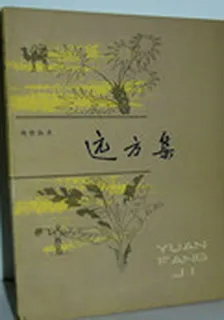 遠方集 封面
