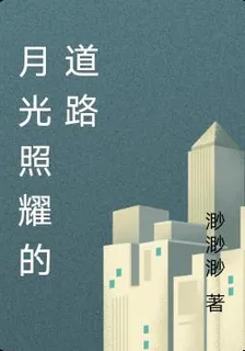 月光照耀的道路 封面