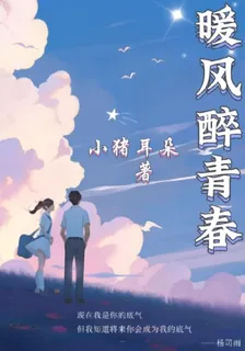 暖風醉青春 封面