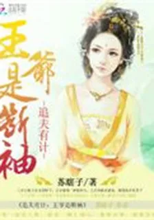 追夫有計：王爺是斷袖 封面