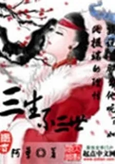 三生不三世 封面