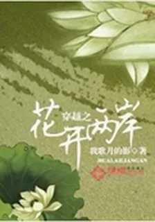 穿越之花開兩岸 封面