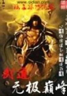 武道無極巔峯 封面