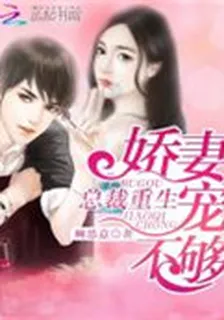 總裁重生：嬌妻寵不夠 封面