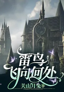 HP：雷鳥飛向何處 封面
