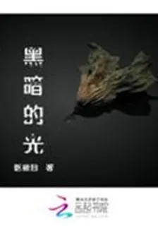 黑暗的光 封面
