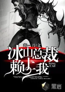 冰山總裁賴上我 封面