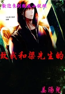致我和梁先生的那些年 封面