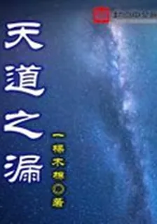 天道之漏 封面
