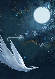 鬥羅：雙生鳳凰 封面