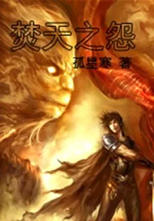 焚天之怨 封面