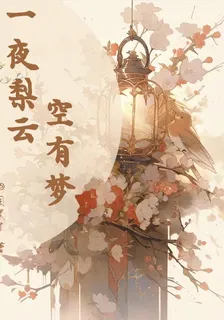 一夜梨雲空有夢 封面