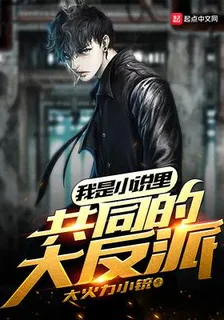 我是小說裏共同的大反派 封面