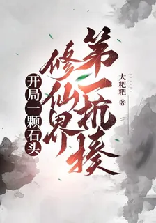 開局一顆石頭，修仙界第一抗揍 封面