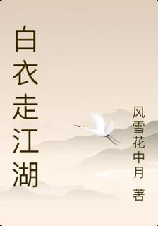 白衣走江湖 封面
