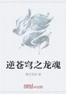 逆蒼穹之龍魂 封面