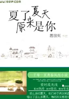 夏了夏天，原來是你 封面