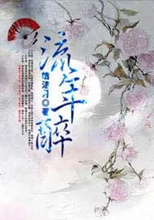 流年醉 封面