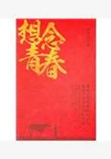 想念青春 封面
