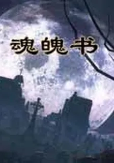 魂魄書 封面