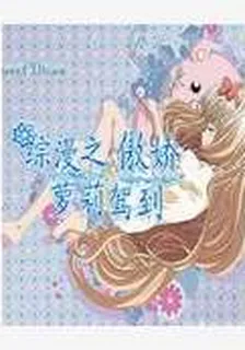 綜漫之傲嬌蘿莉駕到 封面