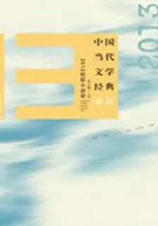 2013年短篇小說卷（中國當代文學經典必讀） 封面