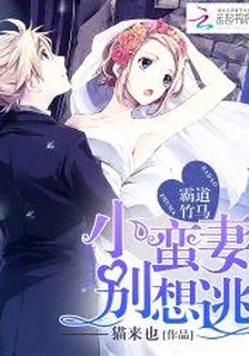 霸道竹馬：小蠻妻，別想逃 封面