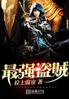 最強盜賊 封面