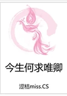今生何求唯卿 封面