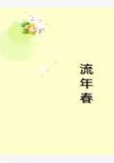 流年春 封面