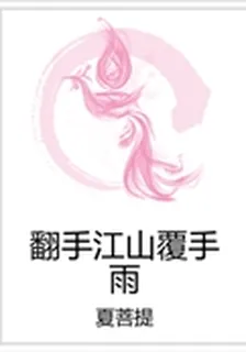 翻手江山覆手雨 封面