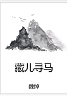 藏兒尋馬 封面
