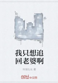 我只想追回老婆啊 封面