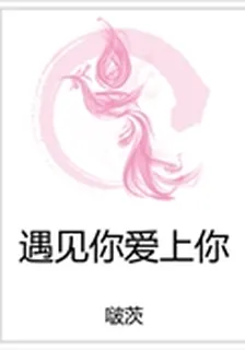 遇見你愛上你 封面