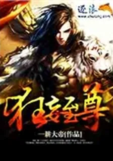 狂妄至尊 封面