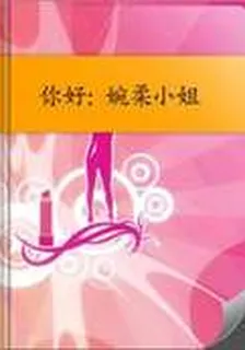 你好：婉柔小姐 封面