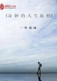奇妙的人生旅程 封面