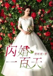 閃婚一百天 封面