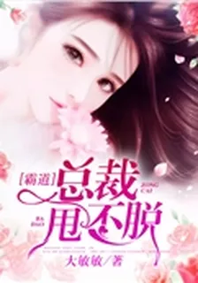 霸道總裁甩不脫 封面
