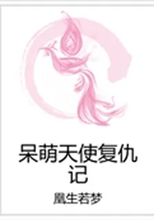 呆萌天使復仇記 封面