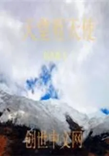 天堂有天使 封面