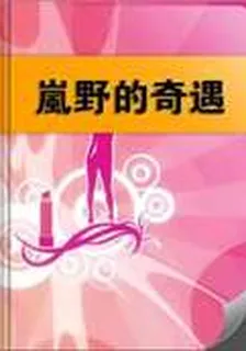 嵐野的奇遇