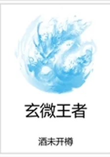 玄微王者 封面