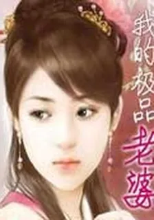 我的極品老婆 封面