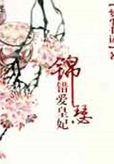 錯愛皇妃：錦瑟 封面