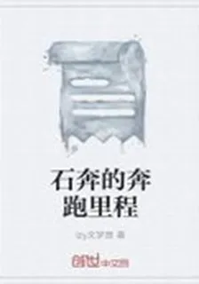 石奔的奔跑里程 封面