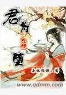 君爲紅顏墮 封面