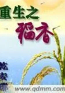 重生之稻香 封面
