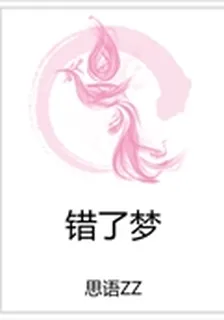 錯了夢 封面