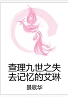 查理九世之失去記憶的艾琳 封面